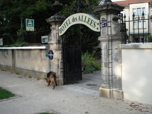 Hotel des All&eacute;es Dijon